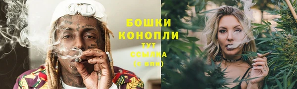 прущие грибы Инсар