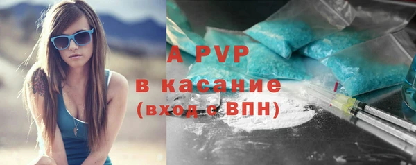 прущие грибы Инсар