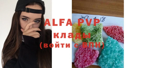 прущие грибы Инсар