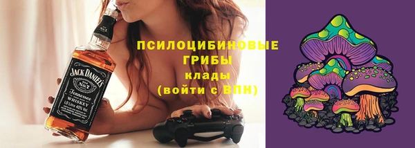 прущие грибы Инсар