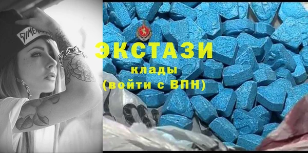 прущие грибы Инсар