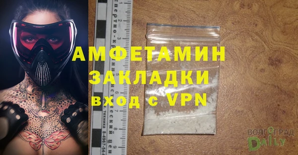 прущие грибы Инсар