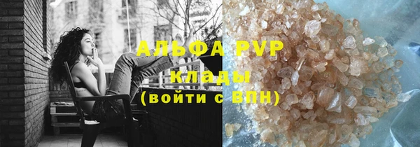 прущие грибы Инсар