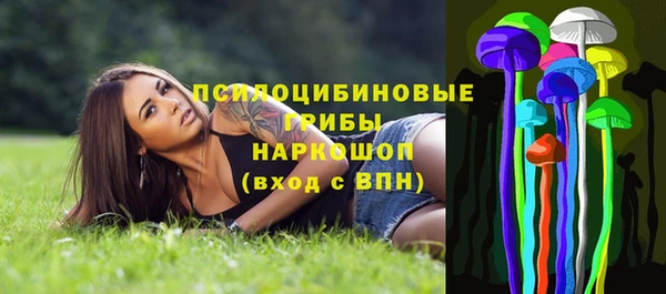 прущие грибы Инсар