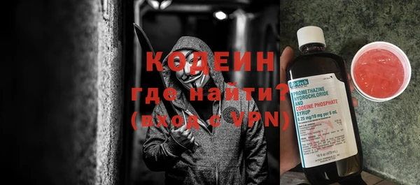 прущие грибы Инсар